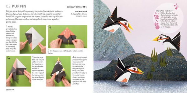 Origami Butterflies, Birds & Bees: Paper block plus 64-page book