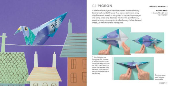 Origami Butterflies, Birds & Bees: Paper block plus 64-page book