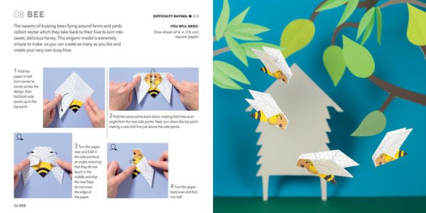 Origami Butterflies, Birds & Bees: Paper block plus 64-page book