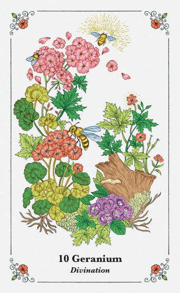 Spirits in Flowers Oracle Deck: Includes 52 cards and a 128-page illustrated book