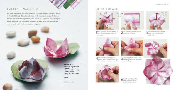 The Simple Art of Japanese Origami: 24 unique step-by-step projects, including 50 pieces of origami paper