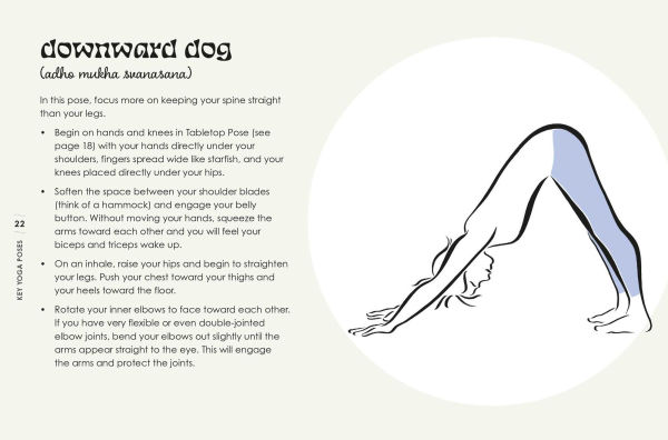 The Little Book of Yoga: Revitalize your body, mind, and spirit