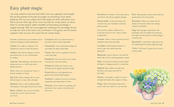 Witchology: An illustrated compendium of magical know-how