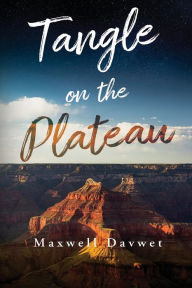 Title: Tangle on the Plateau, Author: Maxwell Davwet