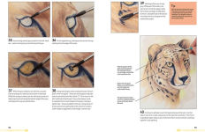 Alternative view 17 of Watercolour Animals for the Absolute Beginner