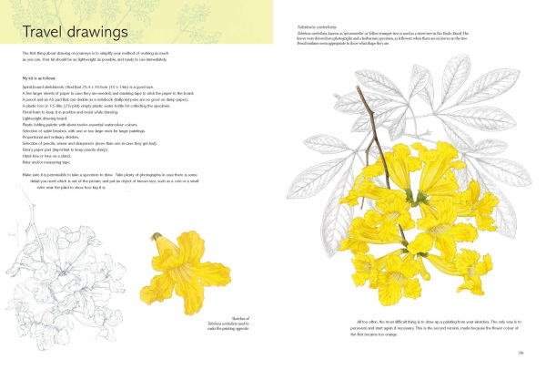 Kew Book of Botanical Illustration