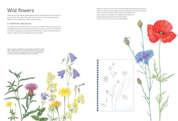 Kew Book of Botanical Illustration