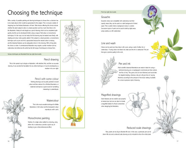 Kew Book of Botanical Illustration