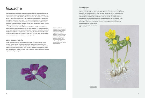 Kew Book of Botanical Illustration