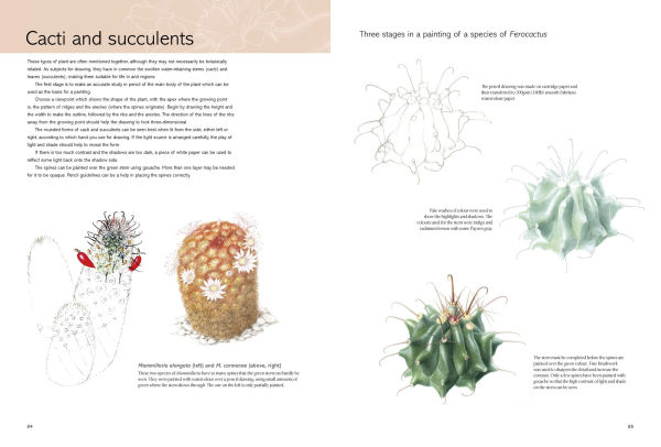 Kew Book of Botanical Illustration