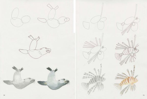 How to Draw Sea Creatures in Simple Steps