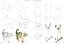 Alternative view 11 of How to Draw Kittens in simple steps