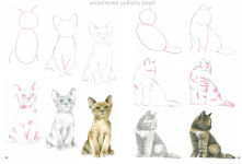 Alternative view 12 of How to Draw Kittens in simple steps