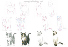 Alternative view 13 of How to Draw Kittens in simple steps