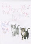 Alternative view 3 of How to Draw Kittens in simple steps