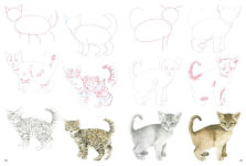 Alternative view 9 of How to Draw Kittens in simple steps