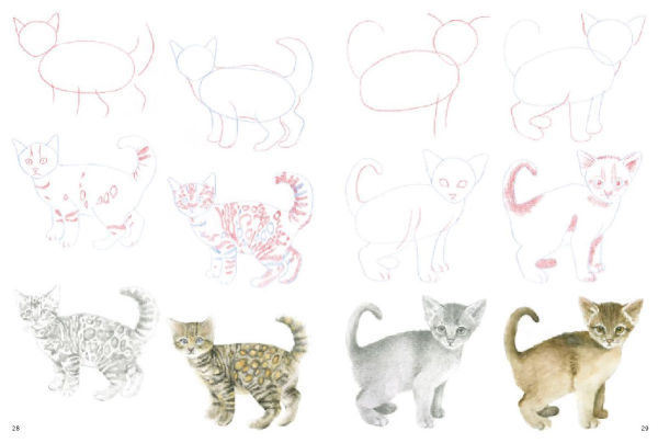 How to Draw Kittens in simple steps