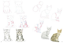 Alternative view 10 of How to Draw Kittens in simple steps