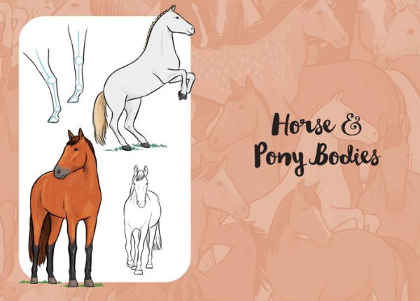 10 Step Drawing: Horses & Ponies: Draw over 50 horses and ponies in 10 easy steps