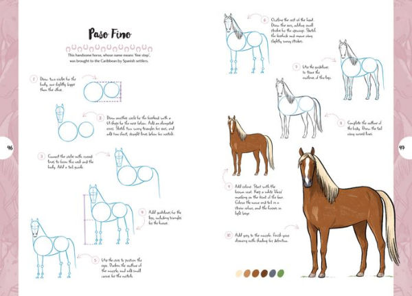 10 Step Drawing: Horses & Ponies: Draw over 50 horses and ponies in 10 easy steps