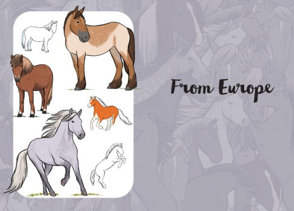 10 Step Drawing: Horses & Ponies: Draw over 50 horses and ponies in 10 easy steps