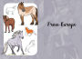 Alternative view 12 of 10 Step Drawing: Horses & Ponies: Draw over 50 horses and ponies in 10 easy steps