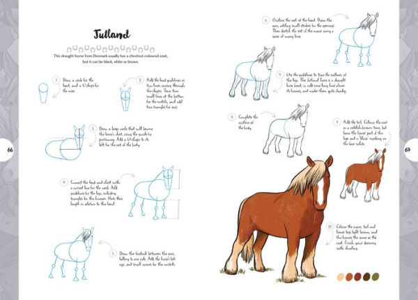 10 Step Drawing: Horses & Ponies: Draw over 50 horses and ponies in 10 easy steps