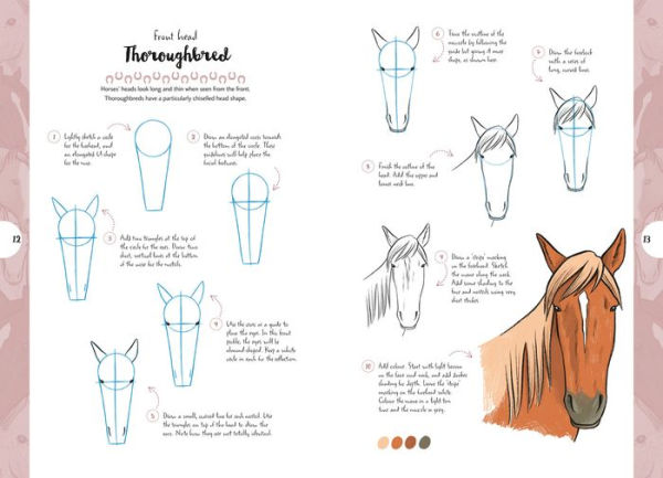 10 Step Drawing: Horses & Ponies: Draw over 50 horses and ponies in 10 easy steps