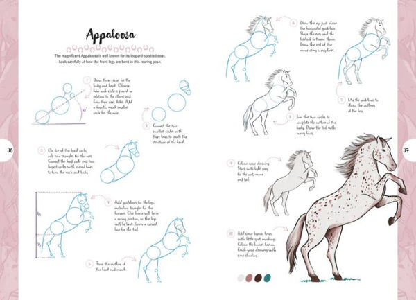 10 Step Drawing: Horses & Ponies: Draw over 50 horses and ponies in 10 easy steps