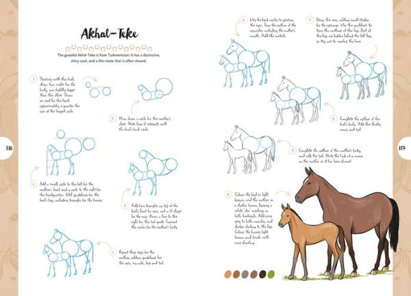 10 Step Drawing: Horses & Ponies: Draw over 50 horses and ponies in 10 easy steps