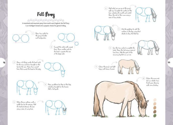 10 Step Drawing: Horses & Ponies: Draw over 50 horses and ponies in 10 easy steps