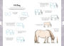 Alternative view 20 of 10 Step Drawing: Horses & Ponies: Draw over 50 horses and ponies in 10 easy steps