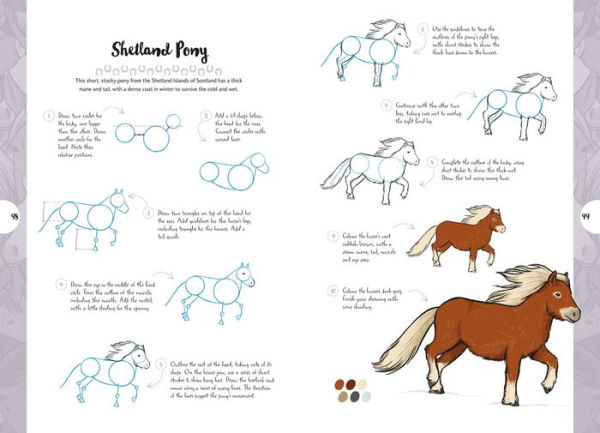 10 Step Drawing: Horses & Ponies: Draw over 50 horses and ponies in 10 easy steps