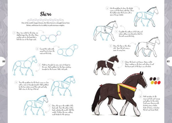 10 Step Drawing: Horses & Ponies: Draw over 50 horses and ponies in 10 easy steps