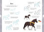 Alternative view 23 of 10 Step Drawing: Horses & Ponies: Draw over 50 horses and ponies in 10 easy steps