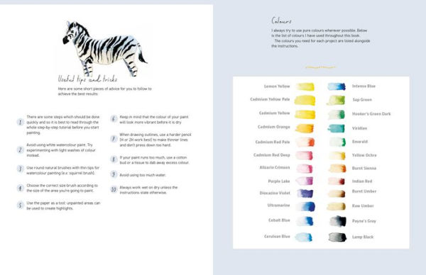 Paint 50: Watercolour Animals: From basic shapes to amazing paintings in super-easy steps