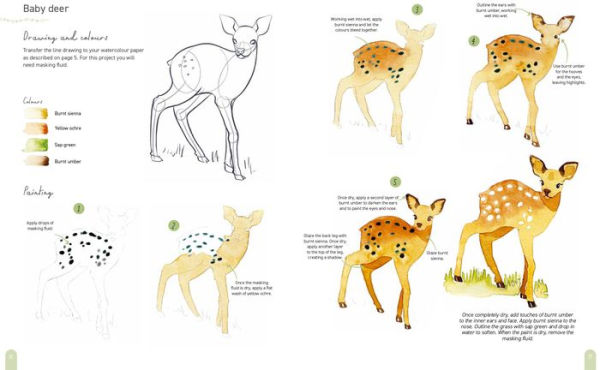 Paint 50: Watercolour Animals: From basic shapes to amazing paintings in super-easy steps