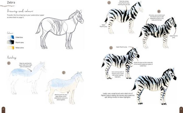 Paint 50: Watercolour Animals: From basic shapes to amazing paintings in super-easy steps