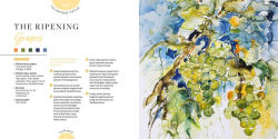 Alternative view 14 of Nature in Watercolour: Expressive Painting Through the Seasons