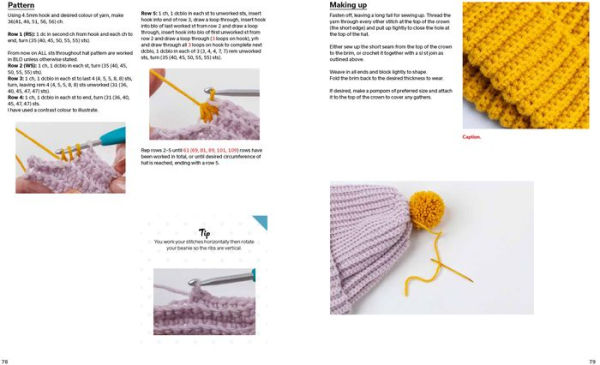 Beginner's Guide to Crochet, The by Claire Montgomerie