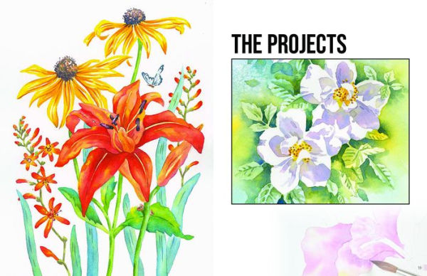 Anyone Can Paint Watercolour Flowers: 6 easy step-by-step projects to get you started