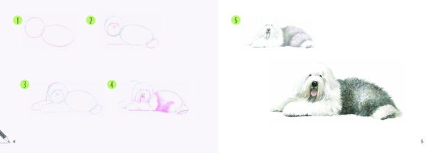 Draw 30: Dogs: in easy steps