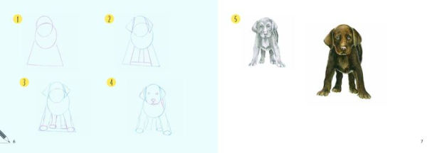 Draw 30: Dogs: in easy steps