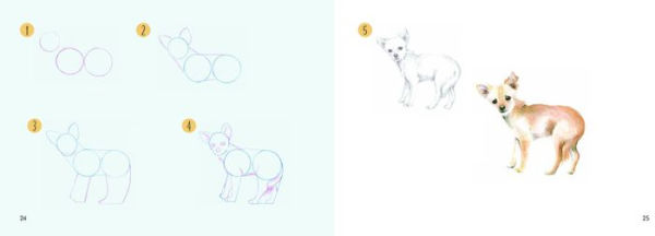 Draw 30: Dogs: in easy steps