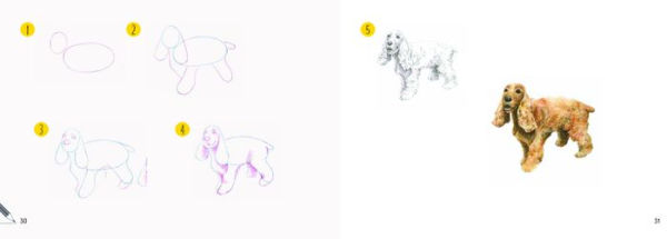 Draw 30: Dogs: in easy steps