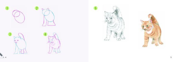 Draw 30: Cats: in easy steps