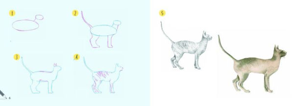 Draw 30: Cats: in easy steps