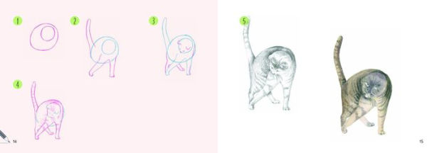 Draw 30: Cats: in easy steps