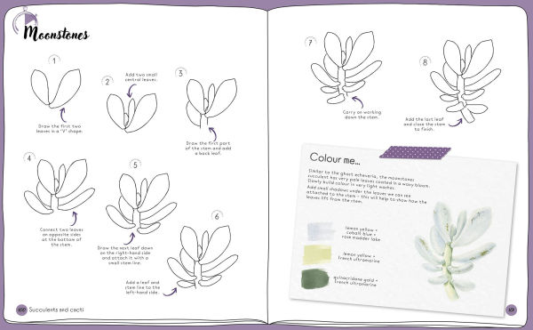 Draw in 10 Minutes: Botanicals: Learn how to draw in 50 quick sketches