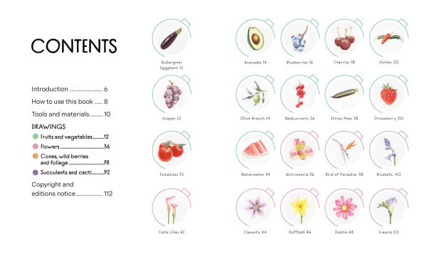 Draw in 10 Minutes: Botanicals: Learn how to draw in 50 quick sketches